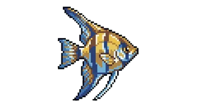 Angelfish - marine life spotted by Fathy Rashad while diving