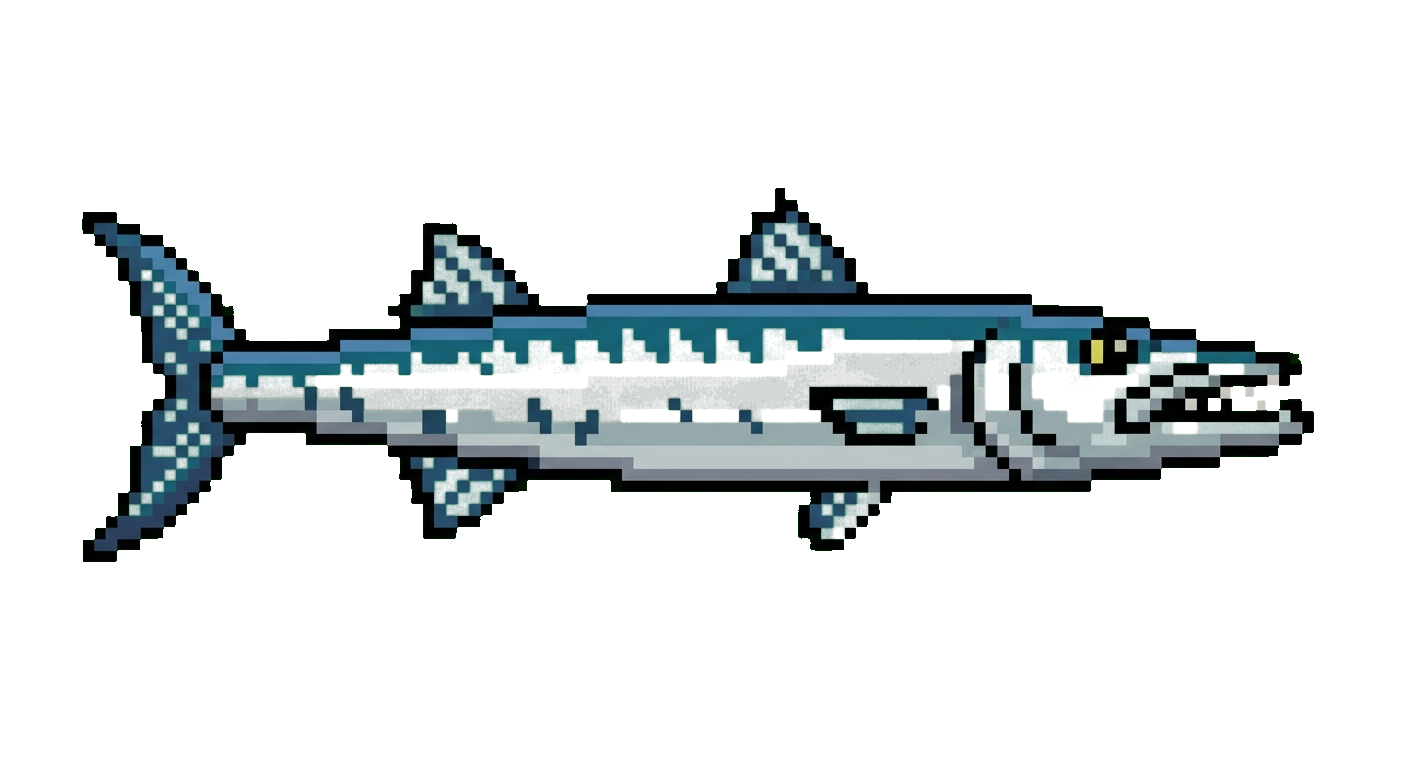 Barracudas
