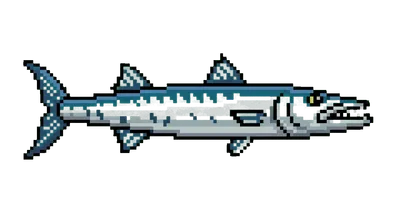 Barracudas - marine life spotted by Fathy Rashad while diving