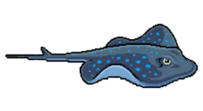 Blue Spotted Stingray - marine life spotted by Fathy Rashad while diving