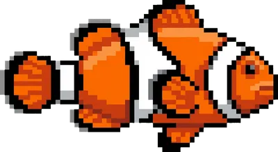 Clownfish - marine life spotted by Fathy Rashad while diving