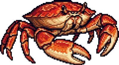 Crab - marine life spotted by Fathy Rashad while diving