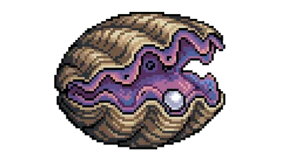 Giant Clam - marine life spotted by Fathy Rashad while diving