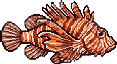 Lionfish - marine life spotted by Fathy Rashad while diving