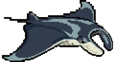 Manta Ray - marine life spotted by Fathy Rashad while diving