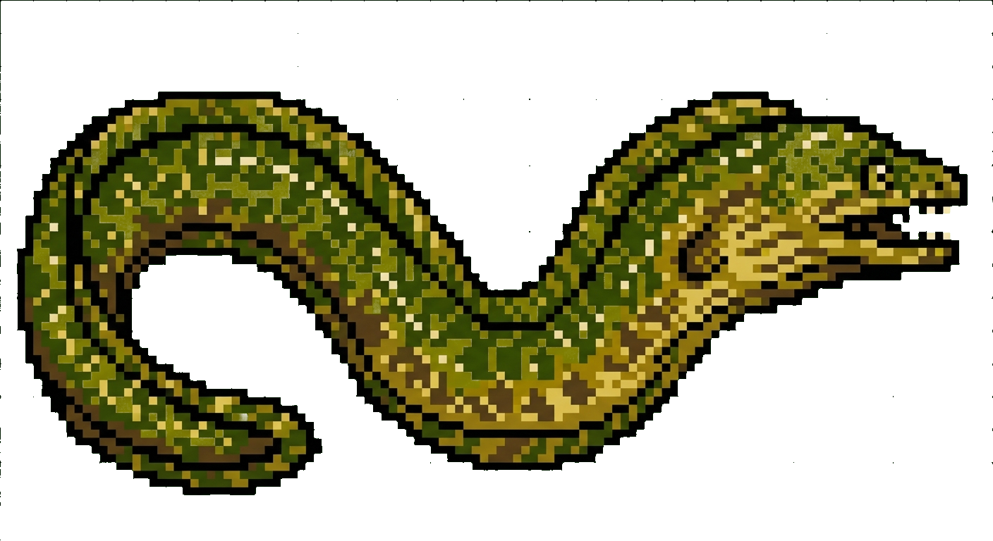 Moray Eel