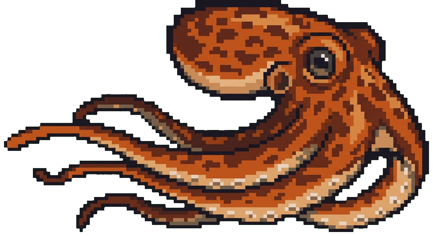 Octopus