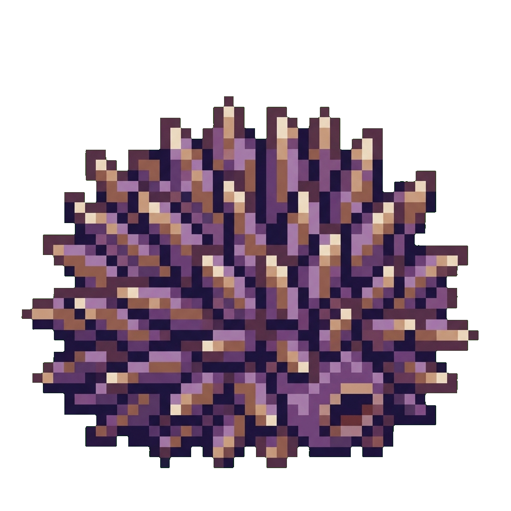 Sea Urchin