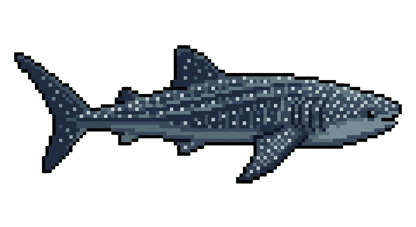 Whale Shark