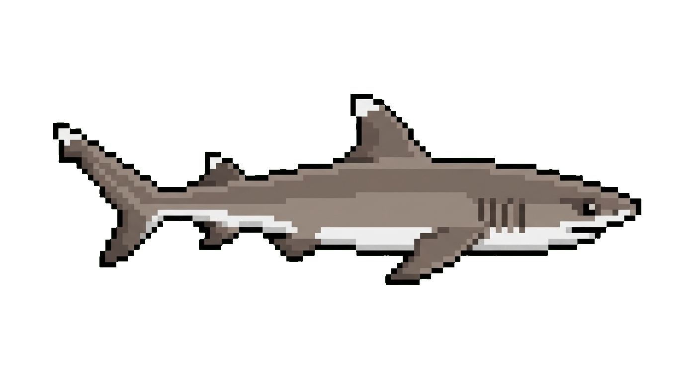 Whitetip Reef Shark